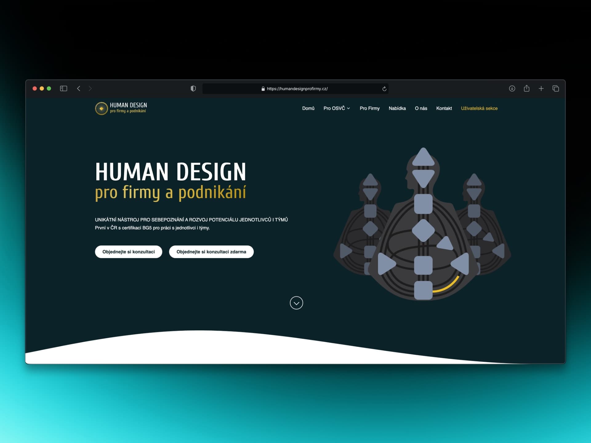 Human Design pro firmy